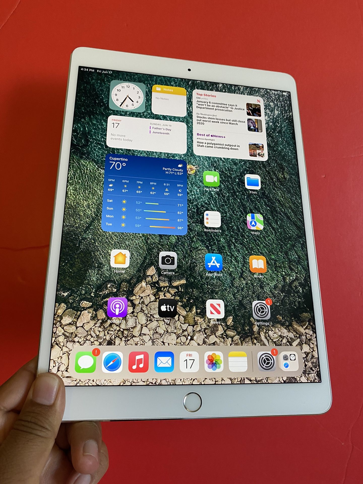 256GB Apple IPad Pro 10.5” (Retina Display/ latest iOS 15/ Touch