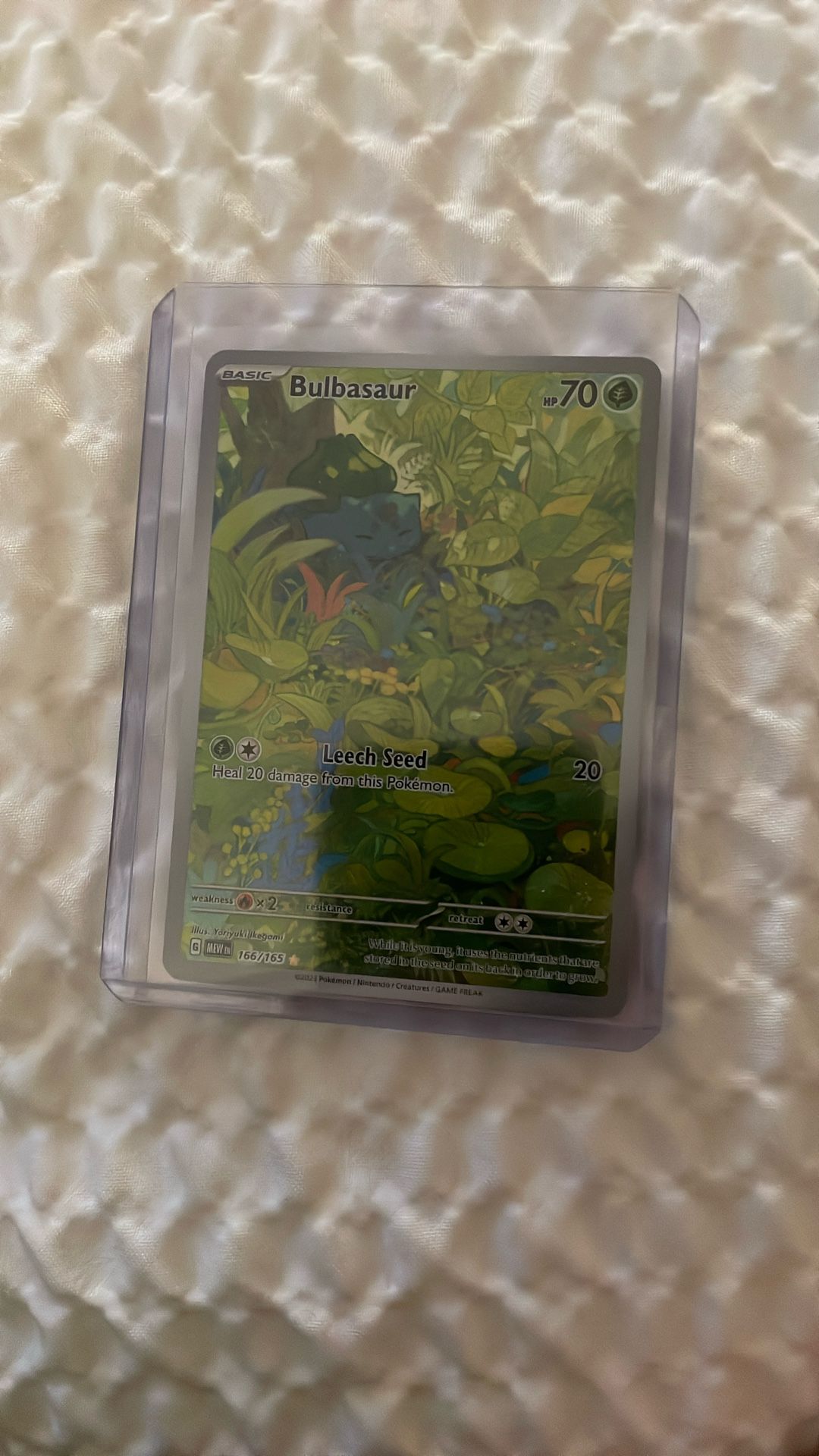 Bulbasaur (SAR)