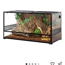 200 Gallon Locking Terrarium & Everything You Could Possibly Need For A Bearded Dragon