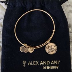 Alex and Ani Bracelet