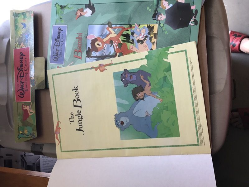 The Walt Disney Treasure Chest