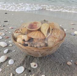 Natural SeaShell Collection 5" Handmade Woven Basket Sealed Protective Plastic Film.
This item is a decorative seashell collection packaged in a woven
