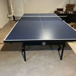 Ping Pong Table 