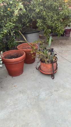Pot for garden