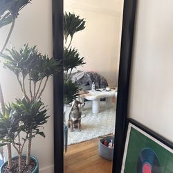 Full length mirror
