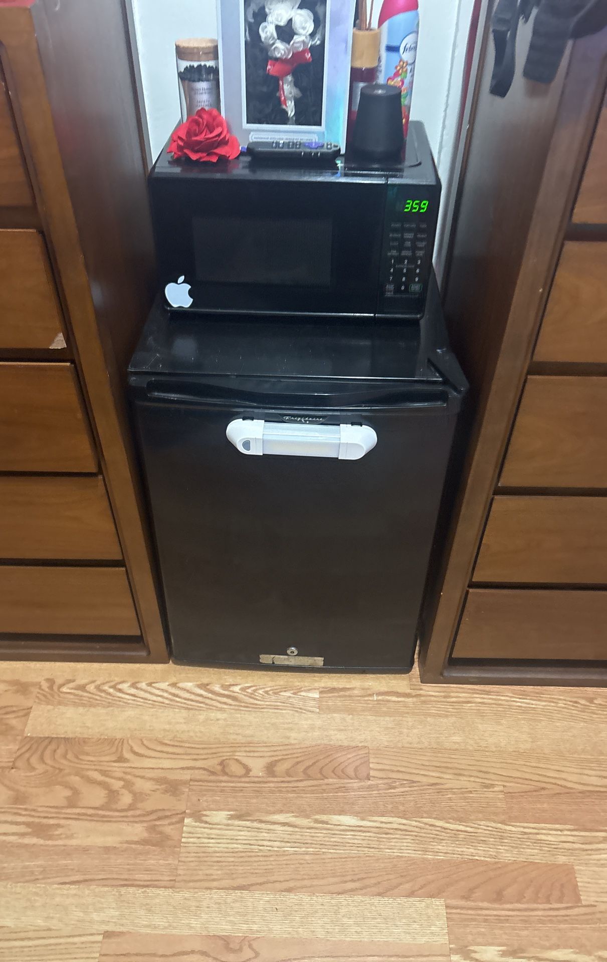 Small refrigerator and microwave