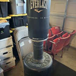 Everlast Punching Bag