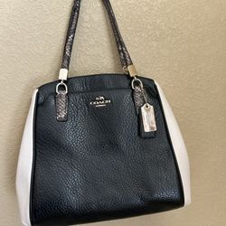 Coach purse 