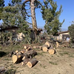 Free fire Wood
