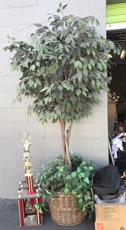 Plastic plant
