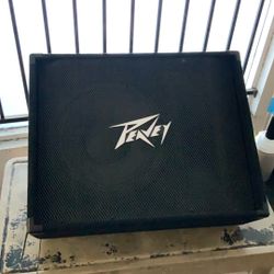 92916 Peavy 2 Way Passive Floor mount 29017