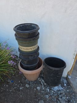 5 gallon pots $.50 each