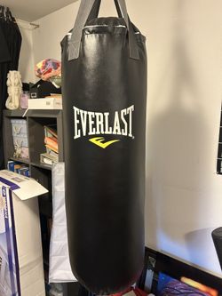 Punching Bag & Gloves