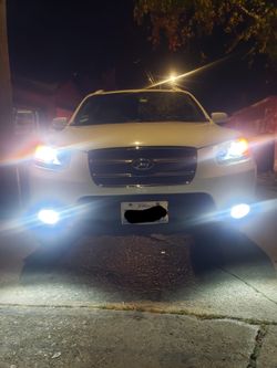 LEDS