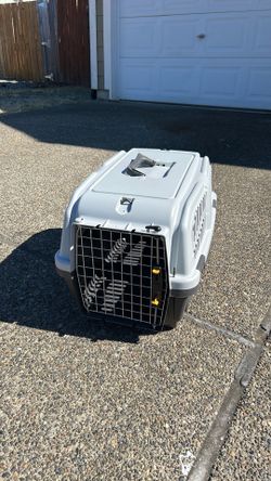 Small animal carrier