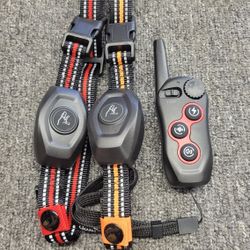 Dog Training Collar with Remote