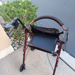 Adult WALKER Study Clean Perfect Working 