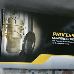 Professional Microphone For Recording Audio