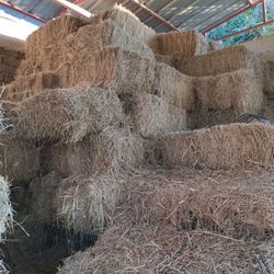 Sudan and Kentucky Fescue Bales 