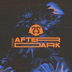 CRSSD AYYBO AFTERS