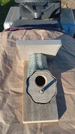 Bird House