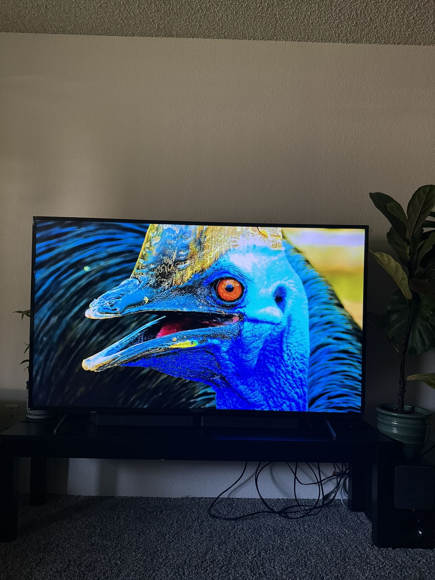 55” SONY BRAVIA 4K