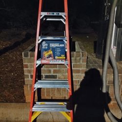 6 Foot Ladder 
