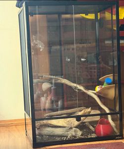 Huge reptile enclosure