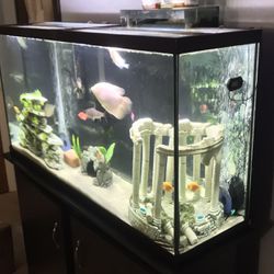 55 Gallons  Fish Tank