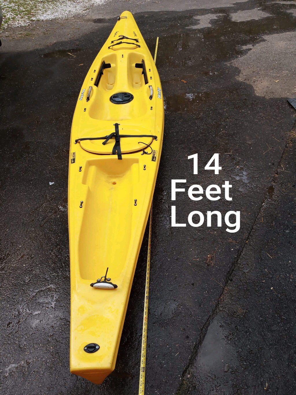 Photo Necky Kayak Dolphin 14 foot