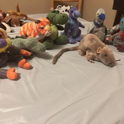 2000 TY Beanie Babies