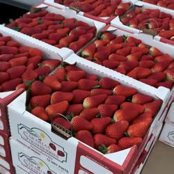 Strawberry Flats $45 