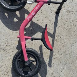 SmarTrike Balance Bike