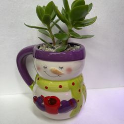 🎁🎄Succulent Cute House Plant In Cute Cup 4.5"H.