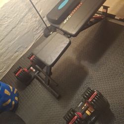 52.5 Adjudstable Dumbbell Set and AdjustableBench