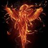 Phoenix Transformation