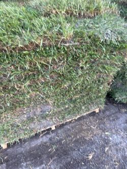 GOOD OL SOD