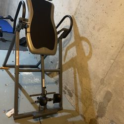 Gym Equipments For Reasonable Price 