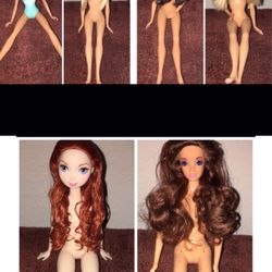 Barbie Lot 6 Dolls