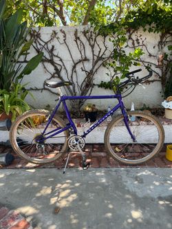 Mountain bike