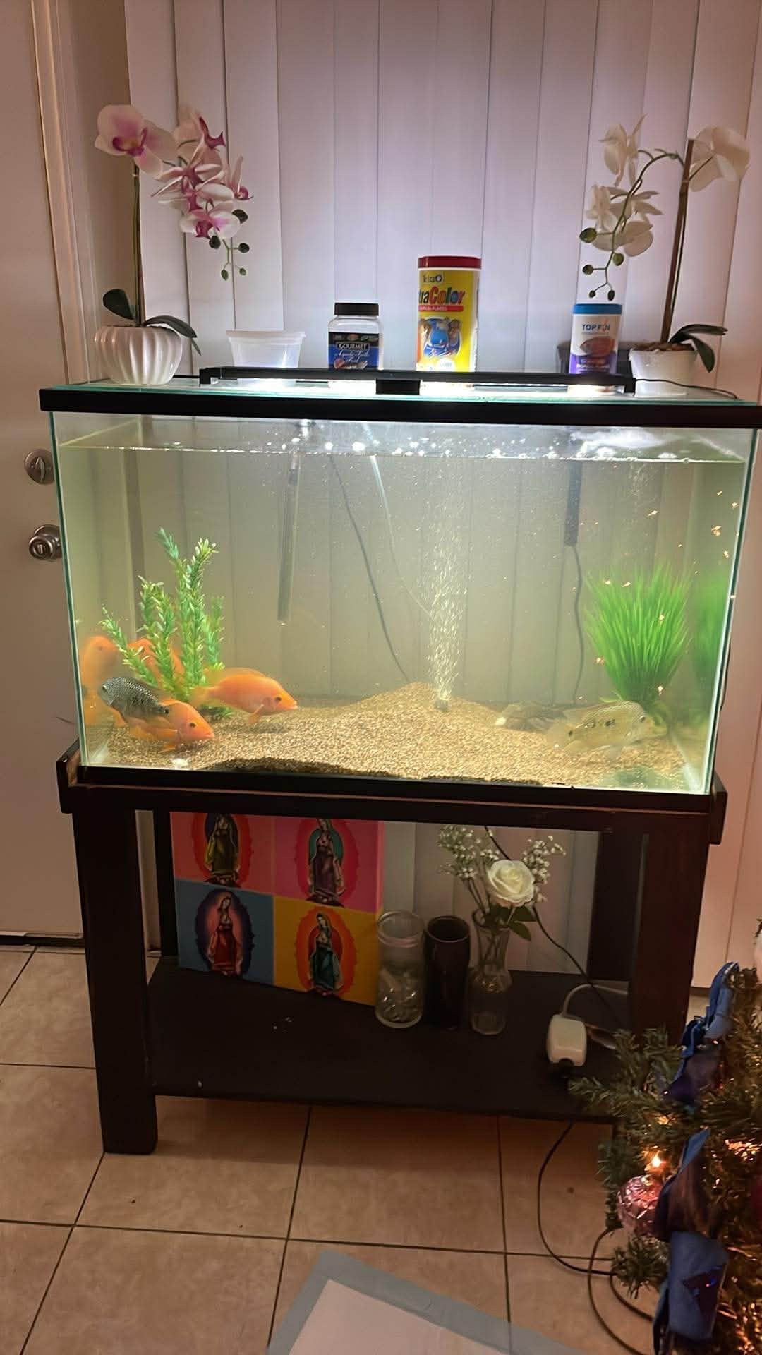 Fish Tank