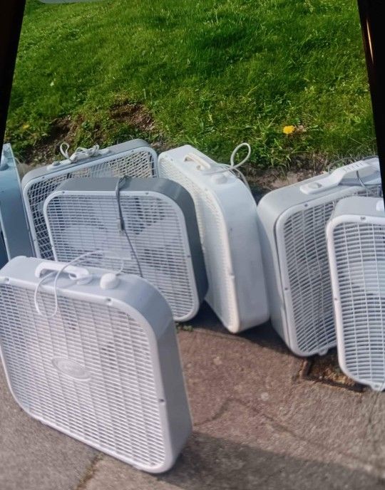 Box Fans