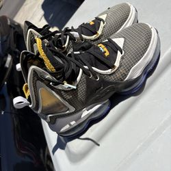 Nike Men’s LeBron James Shoes Size 7.5