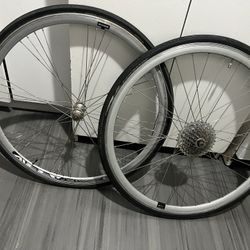 Bike Rims