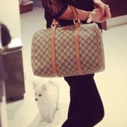 Gucci handbag authentic