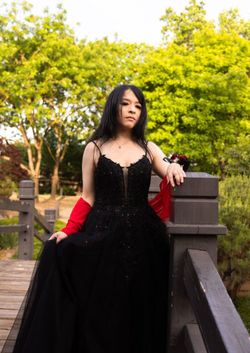 Prom dress (does not include any other accessories)