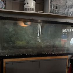 55 Gal Fish Tank And Accessories 