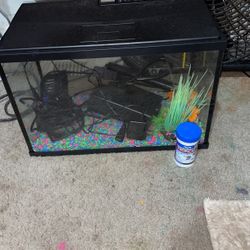 Fish Aquarium 