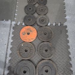 Weight Plates Weightlift Excercise Workout Bench Press Curl 1inch Hole Plates 