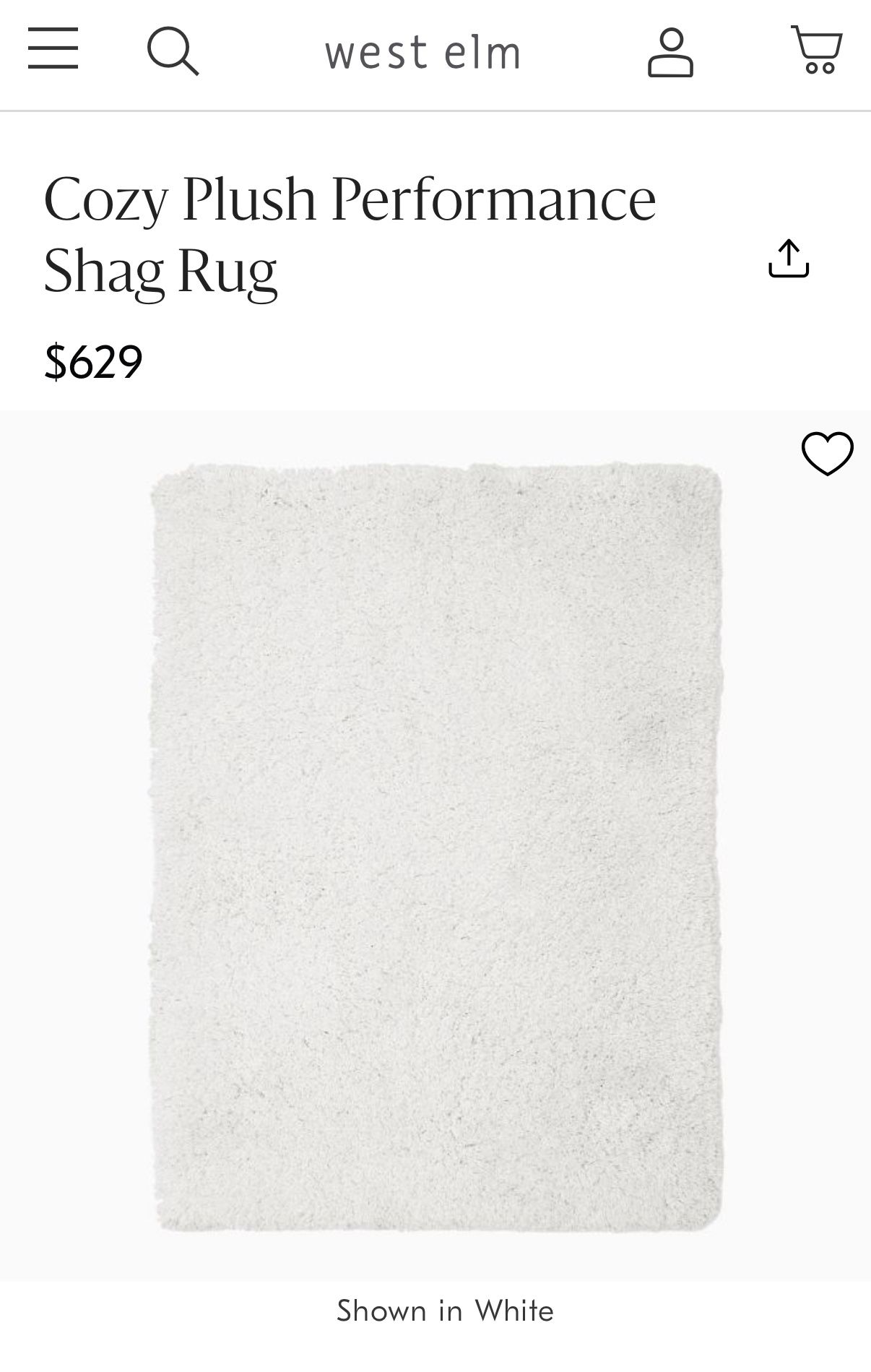 West Elm Rug 6x 9